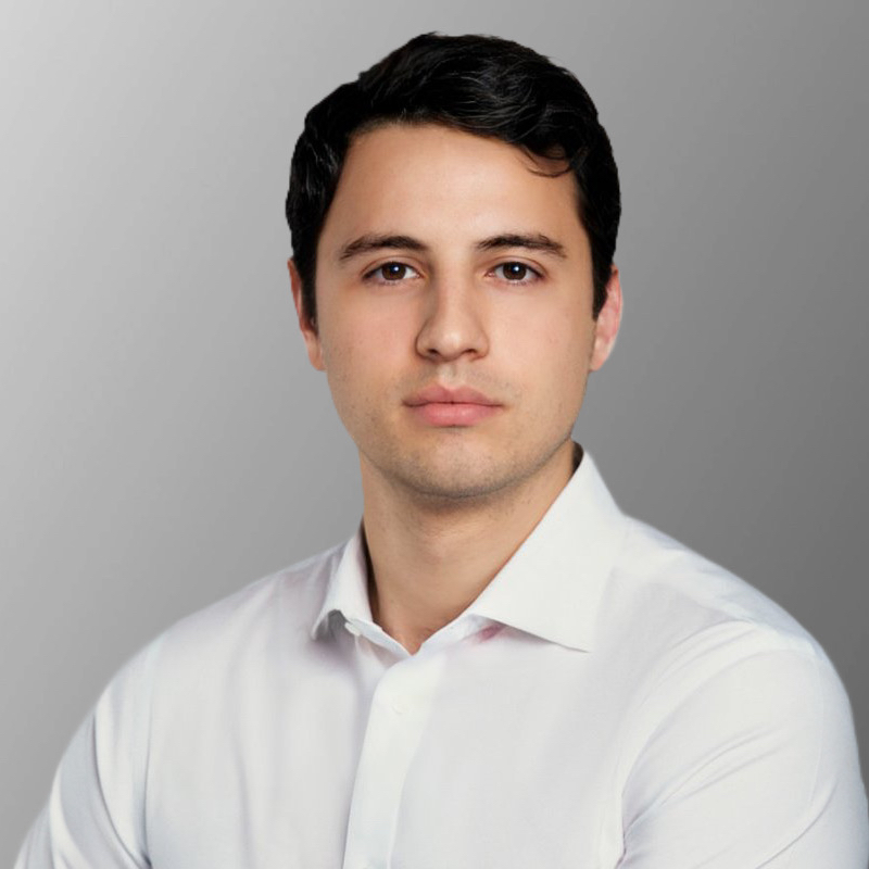 Николай — юрист по товарным знакам